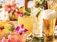 【人気アロハカクテルも満喫♪】お料理アラカルト☆3時間飲み放題☆