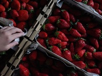 belieble コラボレーションディナー