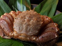 【個室】あわびと特大毛蟹のコース(通年)