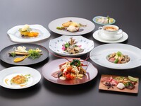 【平日17:30ご来店限定 食前酒付】デギュスタシオン　