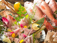 10,000 yen course [Spring Shrimp Feast] A shrimp feast! Live spiny lobster sashimi, a full shabu-shabu course, and all-you-can-drink sake with 50 varieties!