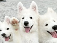 Weekdays: Private plan (50 minutes) ¥25,000