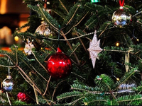 [EARLY CHRISTMAS LUNCH] December 5th - December 18th Early Christmas Lunch Course Plan 5,000 yen (LUNCH)