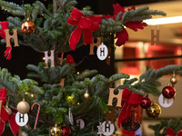 クリスマス限定ディナーコース