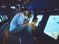 [General Price] 2025 Submarine Jr II Adult