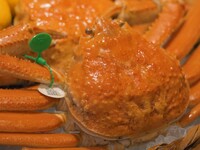 【松葉蟹をメインに使ったコース】11月半ばから3月半ば