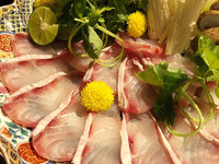 [Kamogawa River summer seating] Wild Longtooth Grouper special course, 9 dishes total