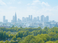 《土日WEB予約限定ご優待》ランチビュッフェ大人 ￥10,000→￥9,131