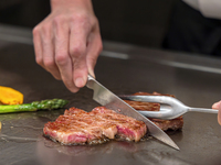 [Limited time offer, reservation required] French Teppan Splendeur Hikari