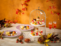 【プレミアムシーズンアフタヌーンティー（部屋料金+飲み放題+季節のアフタヌーンティー）3時間／月～金】