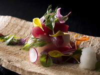 【Anniversary Plan B】Toast drink included Tomoe