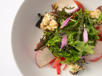 【Lunch｜平日】ラ・メゾンコース