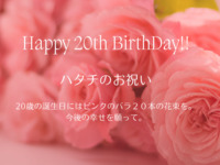 [Hatachi Anniversary Plan] 20th birthday "20" for two people 37,500 yen