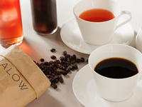 【予約限定】HALOWランチコース★カフェフリー付★