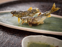 平日お昼限定コース