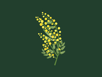 【イベント】3月8日ミモザの日／席のみご予約