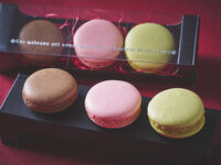 【3月7日,8日・14日,15日限定】ホワイトデーギフト付き　フレンチブッフェ