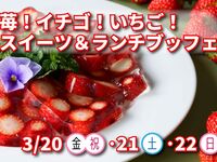 ランチブッフェ(第２部13:30~）　大人1名　4,200円