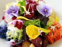 【テイクアウト】神奈川県契約農家のガーデンサラダ