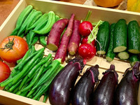 お席のみの1時間30分ご予約