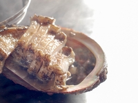 ＜公式ホームページ特典＞　山彦コース　シャンパン付