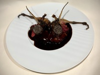 Menu Gourmand 美食家コース＋ワインペアリング