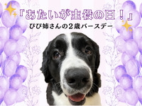 Tiket sa pagpasok (Sabado, Linggo, at pista opisyal)