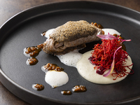 KASA/【シグネチャーコース】季節の食材を使用したコース全5品＋3種のスパークリングワイン2時間飲み放題