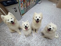 <Weekdays> Regular ticket (50 minutes)