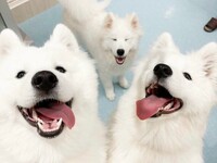 <Weekdays> Regular ticket (50 minutes)