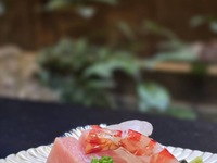 Kaiseki Usu