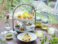 [NOGA STYLE Afternoon Tea] 