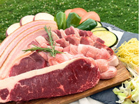 定番食材付きコース