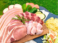 お手軽食材付きコース