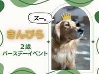 初めての人も大歓迎！💖きんぴらバースデーイベント💖