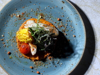 ◆Dinner◆Divertito -Chef's Tasting Menu -