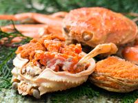 香箱蟹と 奇跡の近江牛のプレミアムコース