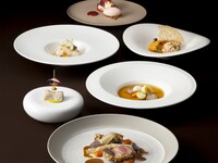 フルコースデビュープラン