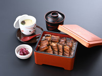 Anago-don Set Meal (Grilled conger eel rice bowl)