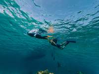 【Hotel Guest】Beach Snorkel tour 90min Adult/Child (season A）_2026 1/1-3/19, 4/6-4/24, 5/11-6/30, 10/1-12/31