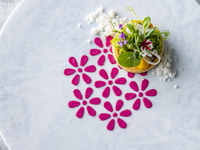 Authentic 5皿コース