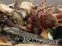 【季節コース】特選料理・お造り・焼物・うなぎの朴葉蒸しを含む全9品