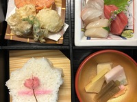 ＜Lunch>Seosonal Ohanami Shokado Bento