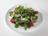 [À emporter] Salade mesclum