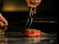 Flowers, birds, wind and moon -KACHOFUGETSU-