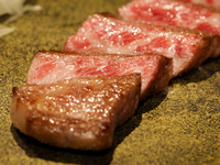  ALLAMANDA  コース　～2025/8/31