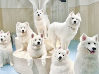 Weekdays: Private plan (50 minutes) ¥25,000