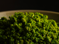 [Winter pole course] 55,000 yen