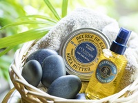 Shea Nurturing Treatment