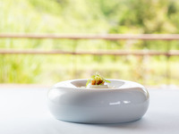 [Lunch] Iris - Casual La Rose French Course Experience 